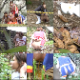 As practice continues on, cheerleaders excuse themselves from the group to relieve themselves in various outdoor locations. Their abandoned messes are closely examined by the cameraman. Over 1.5 hours. 636MB, MP4 file requires high-speed Internet.